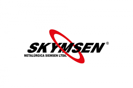 Skynsem