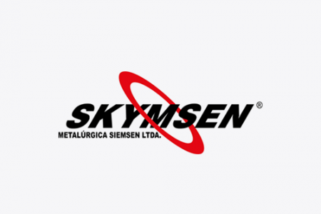 Skynsem